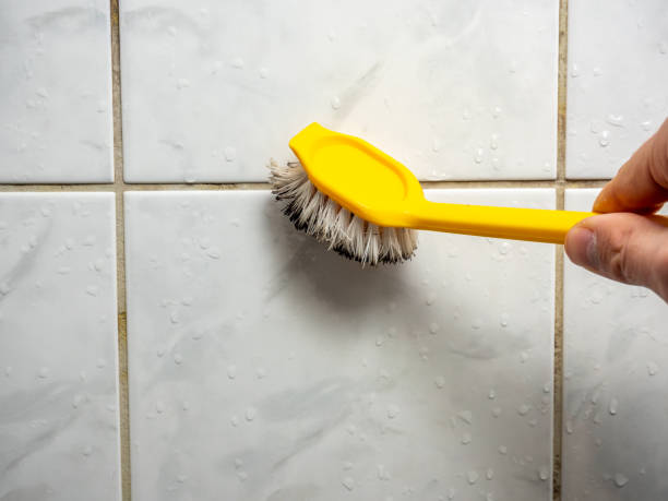 Best Local Mold Removal Service  in Barnesville, GA