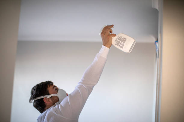 Best Commercial Mold Removal  in Barnesville, GA