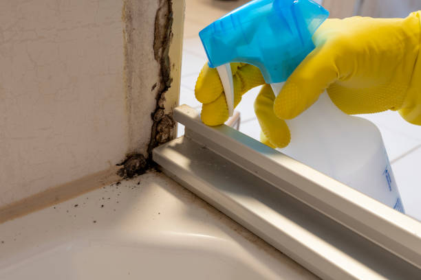 Water Damage Restoration in Barnesville, GA