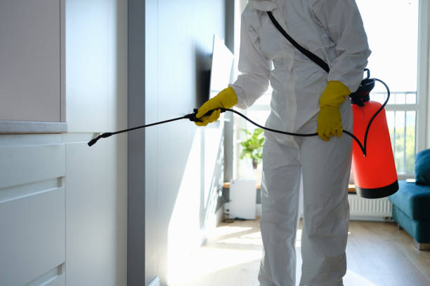 Best Attic Mold Removal  in Barnesville, GA