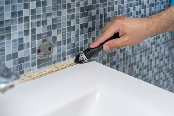 Best Mold Removal Company Near Me  in Barnesville, GA