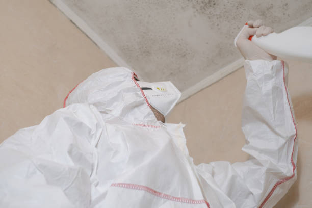 Best Mold Cleaning Services  in Barnesville, GA