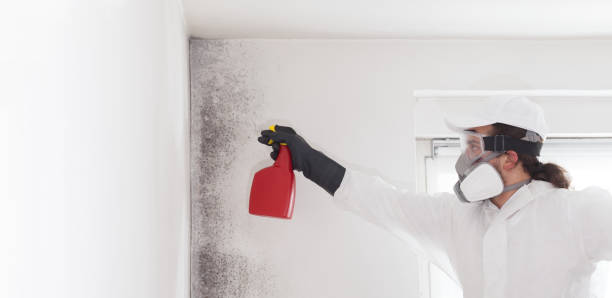 Best Fast Mold Removal  in Barnesville, GA