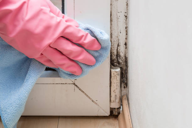 Best Crawl Space Mold Removal  in Barnesville, GA